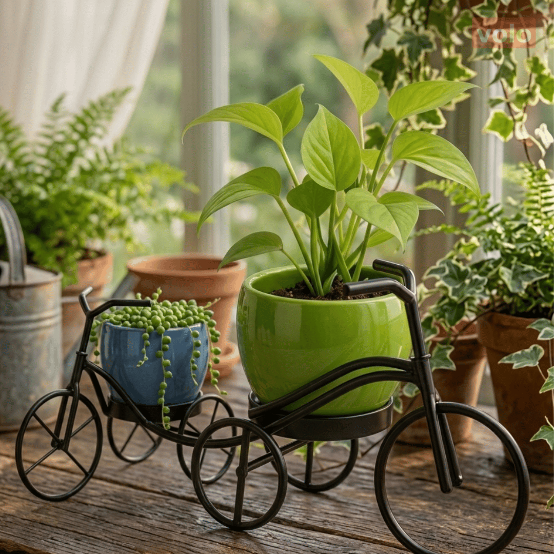 Cycle Planter with Ceramic Pot