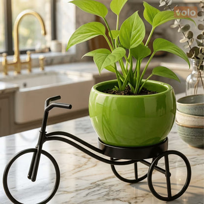 Cycle Planter with Ceramic Pot